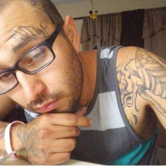 Meet your Posher, Odee - Picture 1 of 1